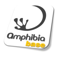 Amphibia BASE logo, Amphibia BASE contact details