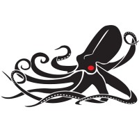 Kraken Robotics Brazil formerly 13 Robotics logo, Kraken Robotics Brazil formerly 13 Robotics contact details