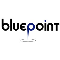 Bluepoint Group, LLC logo, Bluepoint Group, LLC contact details