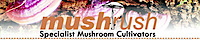 Mushrush logo, Mushrush contact details