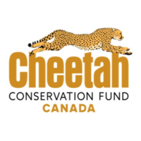 Cheetah Conservation Fund Canada logo, Cheetah Conservation Fund Canada contact details