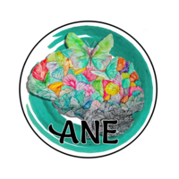 ANE International logo, ANE International contact details