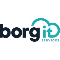 Borg ITS logo, Borg ITS contact details