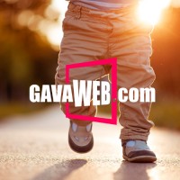 GAVAWEB.com logo, GAVAWEB.com contact details