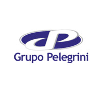 Grupo Pelegrini logo, Grupo Pelegrini contact details