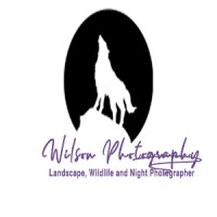 Wilson Photography logo, Wilson Photography contact details