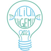 LiU iGEM logo, LiU iGEM contact details