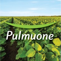 Pulmuone Foods USA logo, Pulmuone Foods USA contact details