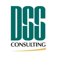 DSS Consulting Zrt. logo, DSS Consulting Zrt. contact details