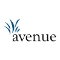 Avenue - Web design with direction logo, Avenue - Web design with direction contact details