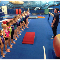 Zac Partridge - Trampoline Coach logo, Zac Partridge - Trampoline Coach contact details