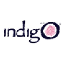 Indigo Studio logo, Indigo Studio contact details