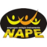 NAPE Serviços logo, NAPE Serviços contact details