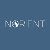 Norient Advisors Limited logo, Norient Advisors Limited contact details