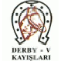 DERBY V KAYIŞI (DERBY V BELT MANUFACTURİNG) logo, DERBY V KAYIŞI (DERBY V BELT MANUFACTURİNG) contact details