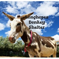 Longhopes Donkey Shelter logo, Longhopes Donkey Shelter contact details