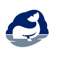 Whale logo, Whale contact details