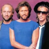 The Bee Gees Corporation logo, The Bee Gees Corporation contact details