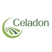 Celadon Solutions Group logo, Celadon Solutions Group contact details