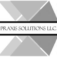 Praxis Solutions LLC logo, Praxis Solutions LLC contact details