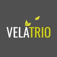 Vela Trio Consulting logo, Vela Trio Consulting contact details