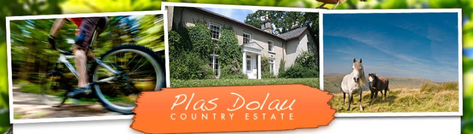 Plas Dolau Country Estate logo, Plas Dolau Country Estate contact details