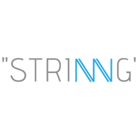 STRINNG Software & Information Technologies logo, STRINNG Software & Information Technologies contact details