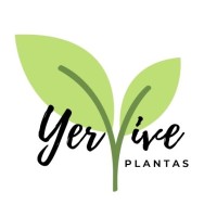 YerVive SpA. logo, YerVive SpA. contact details