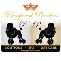 Pampered Poochies logo, Pampered Poochies contact details