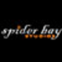 Spider Bay Studios logo, Spider Bay Studios contact details