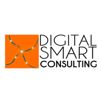 Digital Smart Consulting logo, Digital Smart Consulting contact details