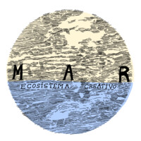 Mar Ecosistema Creativo logo, Mar Ecosistema Creativo contact details