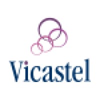 VICASTEL CONSEIL SARL logo, VICASTEL CONSEIL SARL contact details