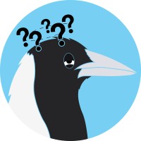 Misinformed Magpie logo, Misinformed Magpie contact details