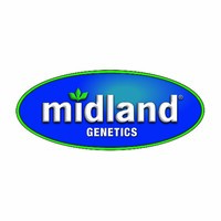 Midland Genetics/ Sylvester logo, Midland Genetics/ Sylvester contact details