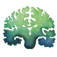 Coastal Neuropsychology Services logo, Coastal Neuropsychology Services contact details