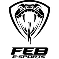 FEB E-SPORTS logo, FEB E-SPORTS contact details