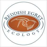 Reddish Egret Ecology logo, Reddish Egret Ecology contact details