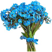 Blue Flowers Org logo, Blue Flowers Org contact details