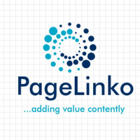 PageLinko ...adding value contently logo, PageLinko ...adding value contently contact details