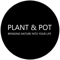 Plant & Pot Studio logo, Plant & Pot Studio contact details