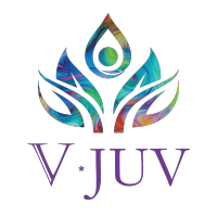 V*JUV logo, V*JUV contact details