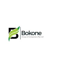 BOKONE GROUP OF COMPANIES logo, BOKONE GROUP OF COMPANIES contact details