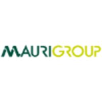 MauriGroup Elettroforniture logo, MauriGroup Elettroforniture contact details