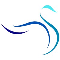 Blue Swan Strategies logo, Blue Swan Strategies contact details