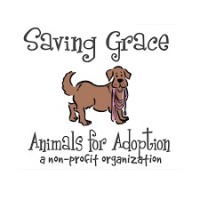 SAVING GRACE ANIMALS FOR ADOPTION INC logo, SAVING GRACE ANIMALS FOR ADOPTION INC contact details