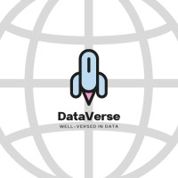 Dataverse Digital Marketing logo, Dataverse Digital Marketing contact details