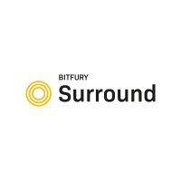 Bitfury Surround logo, Bitfury Surround contact details