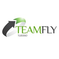 TeamFly logo, TeamFly contact details