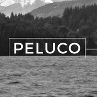 Peluco - A Creative Thinking Company logo, Peluco - A Creative Thinking Company contact details